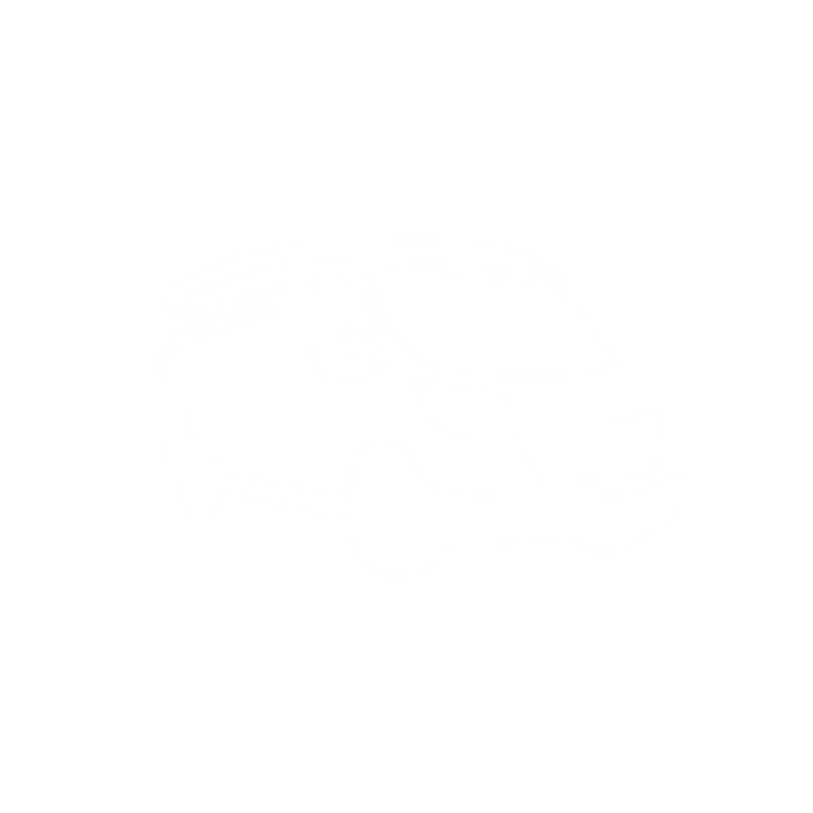 iVans logo